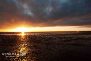 SunruseFiley1